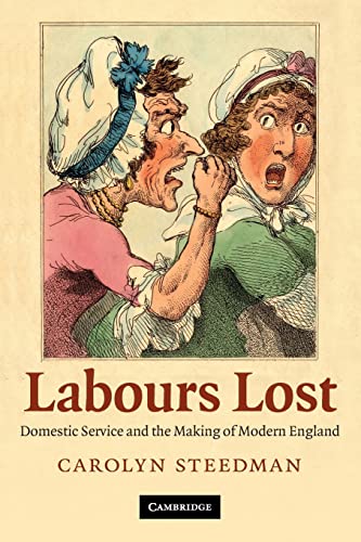 Stock image for Labours Lost: Domestic Service and the Making of Modern England for sale by More Than Words