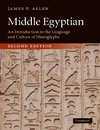 Middle Egyptian: An Introduction to the Language and Culture of Hieroglyphs - James P. Allen