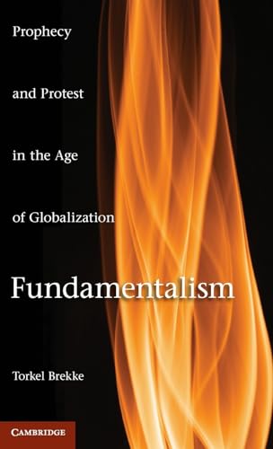Stock image for Fundamentalism: Prophecy and Protest in an Age of Globalization for sale by HPB-Red