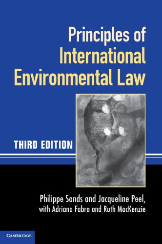 Imagen de archivo de Principles of International Environmental Law a la venta por AwesomeBooks