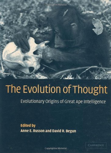 Beispielbild fr The Evolution of Thought: Evolutionary Origins of Great Ape Intelligence zum Verkauf von Powell's Bookstores Chicago, ABAA