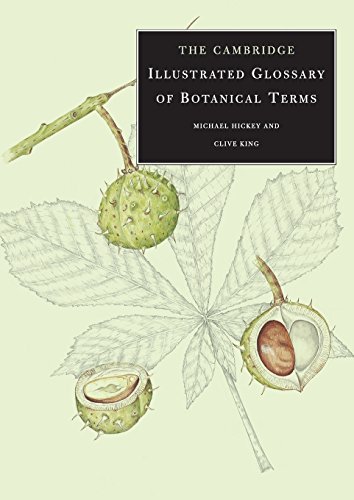 Stock image for The Cambridge Illustrated Glossary of Botanical Terms for sale by Better World Books Ltd