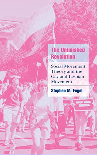 9780521802871: The Unfinished Revolution Hardback: Social Movement Theory and the Gay and Lesbian Movement (Cambridge Cultural Social Studies)