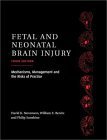 Stock image for Fetal and Neonatal Brain Injury: Mechanisms, Management and the Risks of Practice for sale by HPB-Red