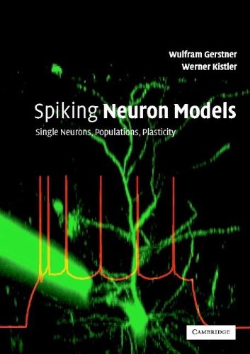 9780521813846: Spiking Neuron Models: Single Neurons, Populations, Plasticity