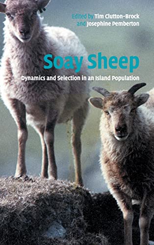 9780521823005: Soay Sheep Hardback: Dynamics and Selection in an Island Population