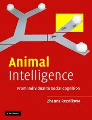 9780521825047: Animal Intelligence: From Individual to Social Cognition