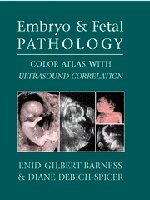 Stock image for Embryo and Fetal Pathology: Color Atlas with Ultrasound Correlation for sale by dsmbooks