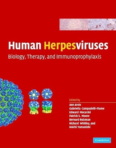 Imagen de archivo de Human Herpesviruses: Biology, Therapy, and Immunoprophylaxis a la venta por AMM Books