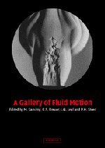 9780521827737: A Gallery of Fluid Motion Hardback