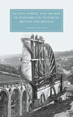 9780521828482: Fiction, Famine, and the Rise of Economics in Victorian Britain and Ireland (Cambridge Studies in Nineteenth-Century Literature and Culture, Series Number 40)