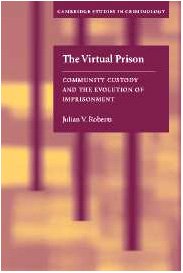 Stock image for The Virtual Prison: Community Custody and the Evolution of Imprisonment (Cambridge Studies in Criminology) for sale by AwesomeBooks