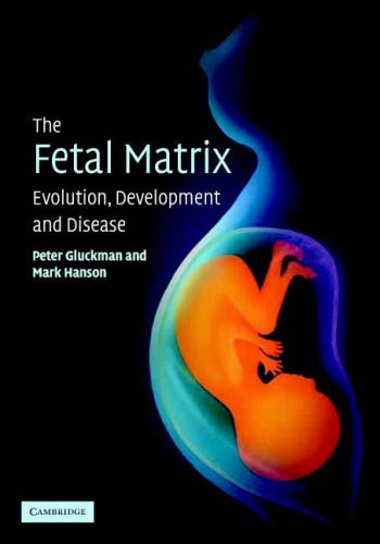 Imagen de archivo de The Fetal Matrix: Evolution, Development and Disease a la venta por Labyrinth Books