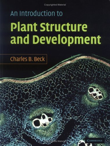 Imagen de archivo de An Introduction to Plant Structure and Development: Plant Anatomy for the Twenty-First Century a la venta por HPB-Red