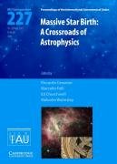 Beispielbild fr Massive Star Birth (IAU S227): A Crossroads of Astrophysics (Proceedings of the International Astronomical Union Symposia and Colloquia) zum Verkauf von GF Books, Inc.