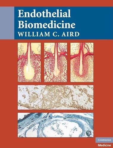 Stock image for Endothelial Biomedicine for sale by BGV Books LLC