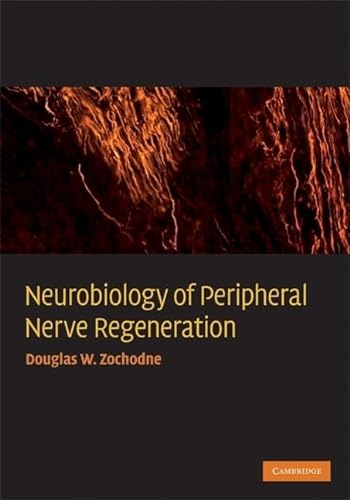 Stock image for Neurobiology of Peripheral Nerve Regeneration for sale by Books Puddle