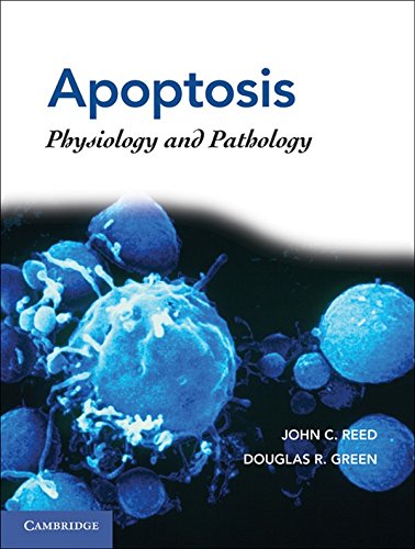 Imagen de archivo de Apoptosis: Physiology and Pathology a la venta por SecondSale