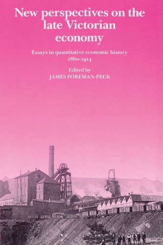 Beispielbild fr New Perspectives on the Late Victorian Economy: Essays in Quantitative Economic History, 1860 1914 zum Verkauf von Chiron Media