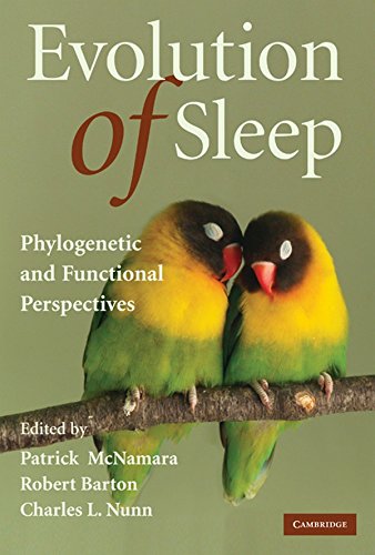 9780521894975: Evolution of Sleep Hardback: Phylogenetic and Functional Perspectives