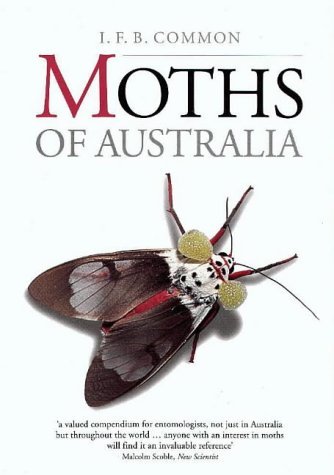 9780522843262: Moths of Australia