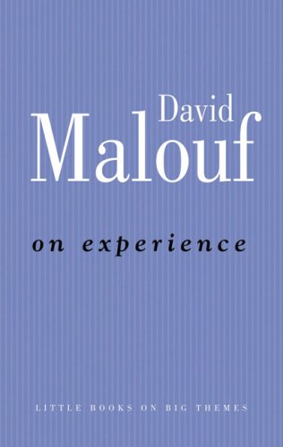On Experience (Little Books on Big Themes)
