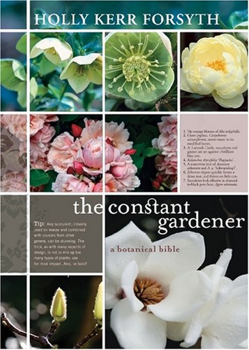 9780522855401: The Constant Gardener