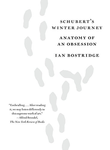 Imagen de archivo de Schubert's Winter Journey: Anatomy of an Obsession a la venta por One Planet Books