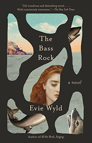 Beispielbild fr The Bass Rock: A Novel zum Verkauf von BooksRun