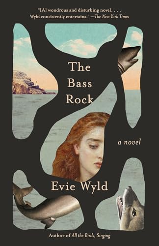Stock image for The Bass Rock: A Novel for sale by BooksRun