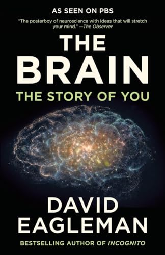 Imagen de archivo de The Brain: The Story of You a la venta por ZBK Books