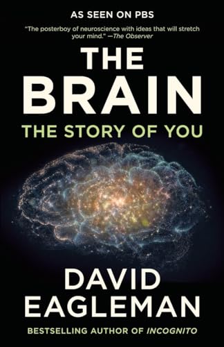 Stock image for The Brain: The Story of You for sale by Decluttr