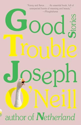 Stock image for Good Trouble: Stories (Vintage Contemporaries) for sale by SecondSale