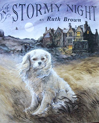 Stock image for One Stormy Night for sale by Front Cover Books