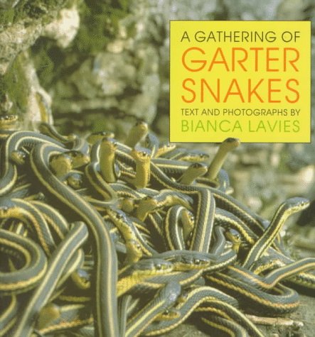 Beispielbild für A Gathering of Garter Snakes zum Verkauf von Better World Books