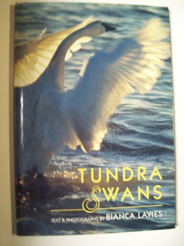 Imagen de archivo de Tundra Swans a la venta por Better World Books