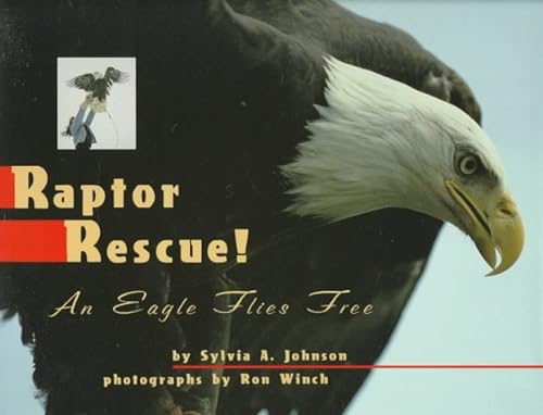 Stock image for Raptor Rescue! : An Eagle Flies Free for sale by Better World Books: West