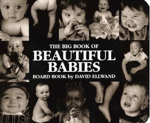 Stock image for The Big Book of Beautiful Babies Board Book for sale by ThriftBooks-Phoenix