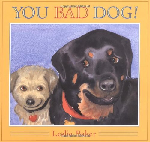 Beispielbild fr You Bad Dog! zum Verkauf von Wonder Book