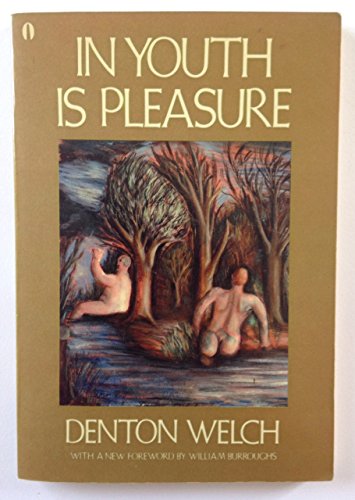 Imagen de archivo de In Youth Is Pleasure a la venta por McCord Books