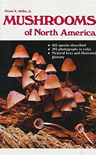 Stock image for Mushrooms of North America for sale by Mountain Books