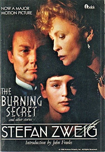 Imagen de archivo de Burning Secret and Other Stories a la venta por HPB-Movies