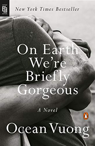 Beispielbild fr On Earth We're Briefly Gorgeous: A Novel zum Verkauf von medimops