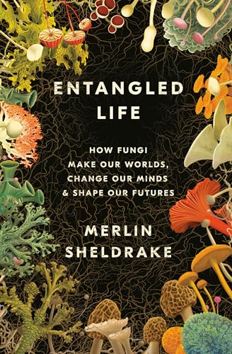 Beispielbild fr Entangled Life: How Fungi Make Our Worlds, Change Our Minds & Shape Our Futures zum Verkauf von Books Unplugged