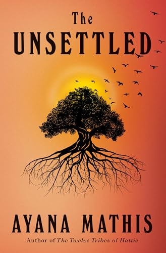 Stock image for The Unsettled: A novel for sale by Goodwill of Colorado