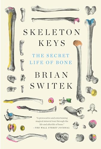 Stock image for Skeleton Keys: The Secret Life of Bone for sale by HPB-Emerald