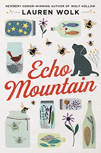 Imagen de archivo de Echo Mountain a la venta por Dream Books Co.