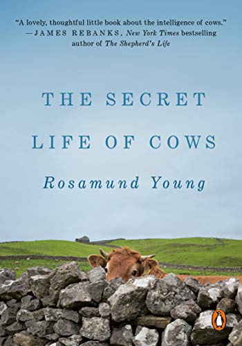 9780525557333: The Secret Life of Cows