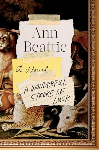9780525557340: A Wonderful Stroke of Luck: A Novel