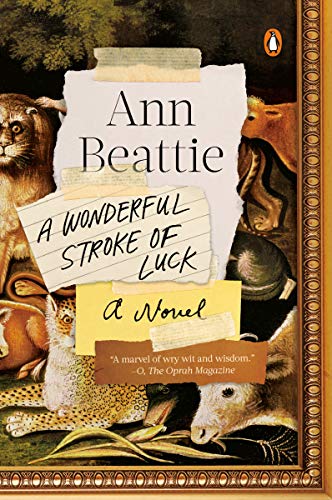 Imagen de archivo de A Wonderful Stroke of Luck: A Novel a la venta por Your Online Bookstore
